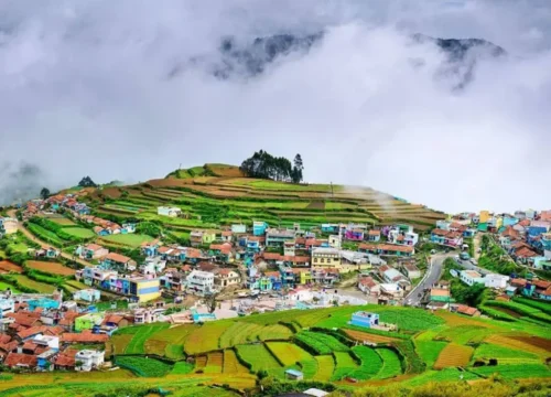 Munnar -Thekkady Bliss 3 Nights / 4 Days