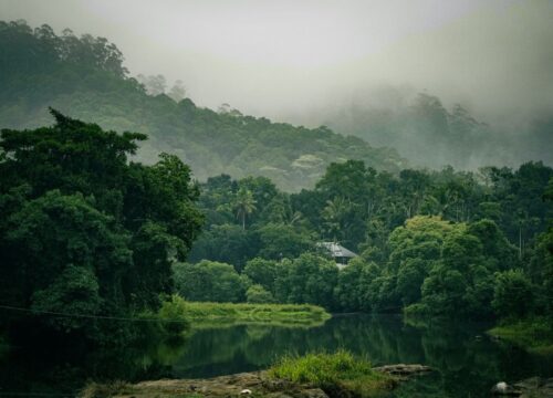Kerala Escapade