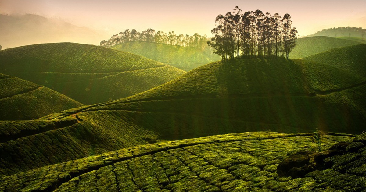 munnar tour package | kerala travel packages