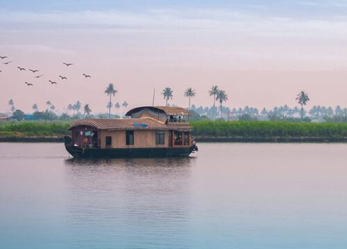 Experience the Best Kerala Tour Packages with Airon Travels – Your Perfect Gateway to God’s Own Country
