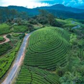 Kerala holiday packages