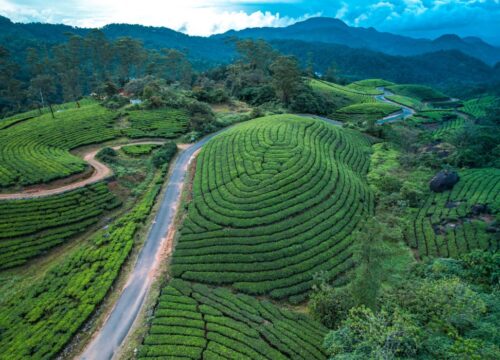 Kerala Holiday Packages by Airon Travels – Your Gateway to God’s Own Country