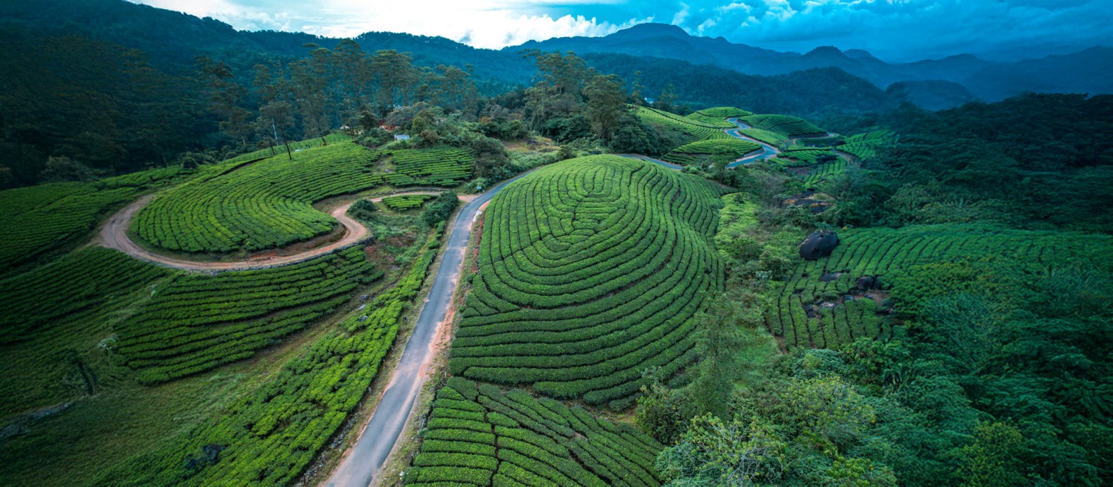 Kerala holiday packages